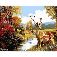 Load image into Gallery viewer, GATYZTORY 40×50CM DIY Painting By Numbers Picture Colouring Zero Basis HandPainted Oil Painting Unique Gift Home Decor
